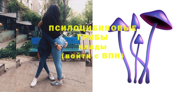 mdpv Кинешма
