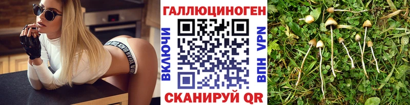 hydra маркетплейс  как найти закладки  Среднеколымск  Псилоцибиновые грибы Psilocybine cubensis 